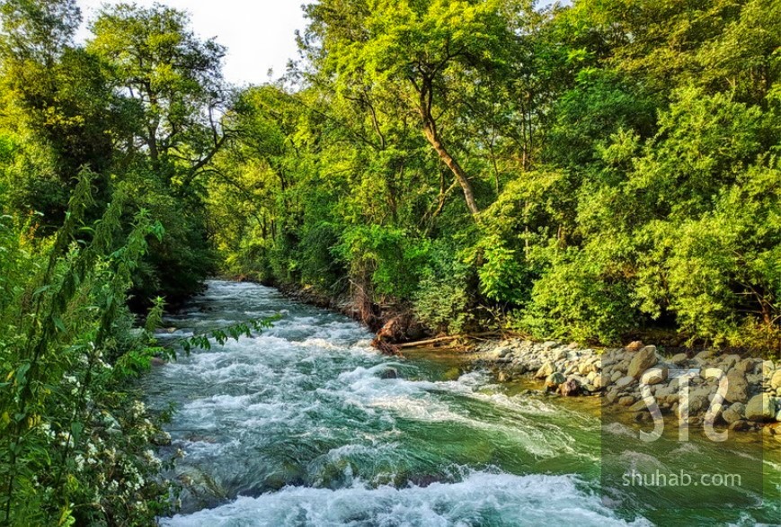 Dachigam