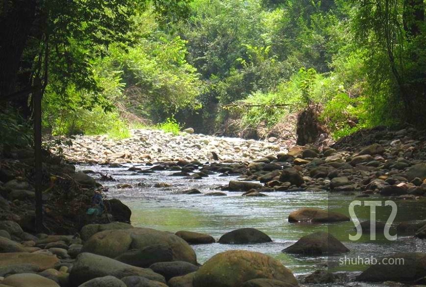 Dachigam