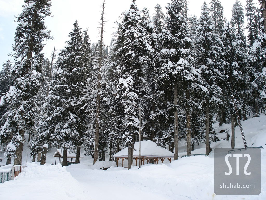 Gulmarg