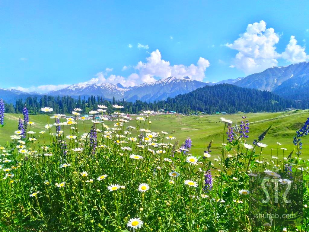 Gulmarg